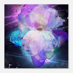 108a5037-277b-4de1-bc37-2591ae76468e