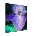 3bc6868a-db9f-49ce-bfae-1f0af707fd61