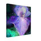 3bc6868a-db9f-49ce-bfae-1f0af707fd61