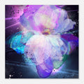 7d2642bc-9973-4580-a90e-dc00e85a266e