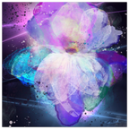 a1ecaa85-d062-4671-9bc7-728ca9c08123