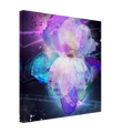 a901e369-4e9d-49d0-8882-ab6da1993b8f
