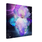 a901e369-4e9d-49d0-8882-ab6da1993b8f