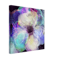 e1e1045a-2020-47f0-8fbc-8df59047d324